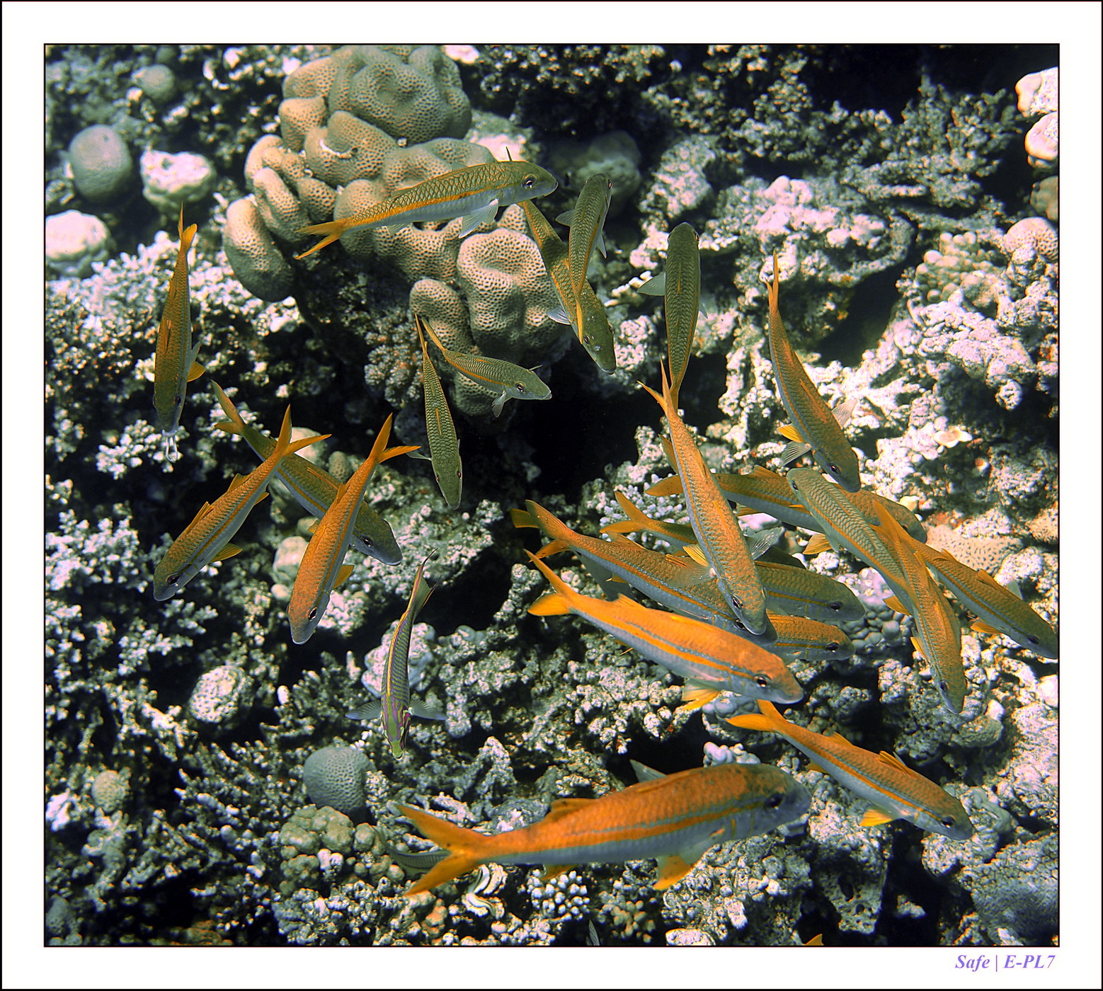 Hurghada - Juillet 2021 - 082